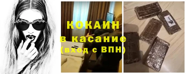 твердый Бородино