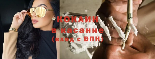 стаф Богородск