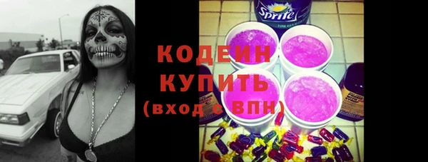 твердый Бородино
