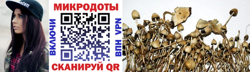 Псилоцибиновые грибы мухоморы  Верхняя Пышма 