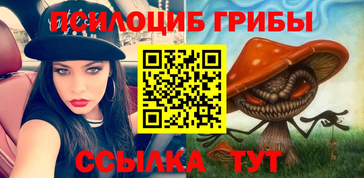 Галлюциногенные грибы Psilocybe Верхняя Пышма