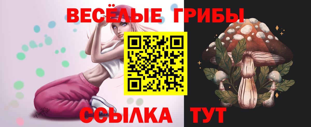Верхняя Пышма  Галлюциногенные грибы GOLDEN TEACHER  Вход с VPN 